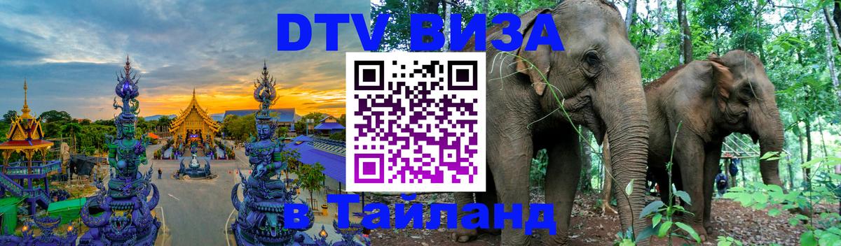 Сколько стоит DTV виза — актуальные цены, оформление даже без документов - 19.11.2025 